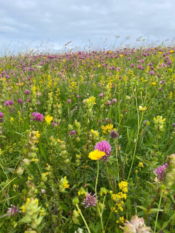 Unique Luxurious On Sea View Working Croft Holiday home Garrabost